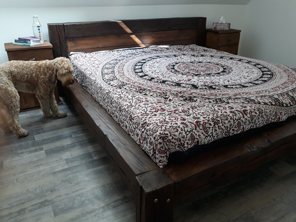 Kutya is imádja... Kutya is imádja...